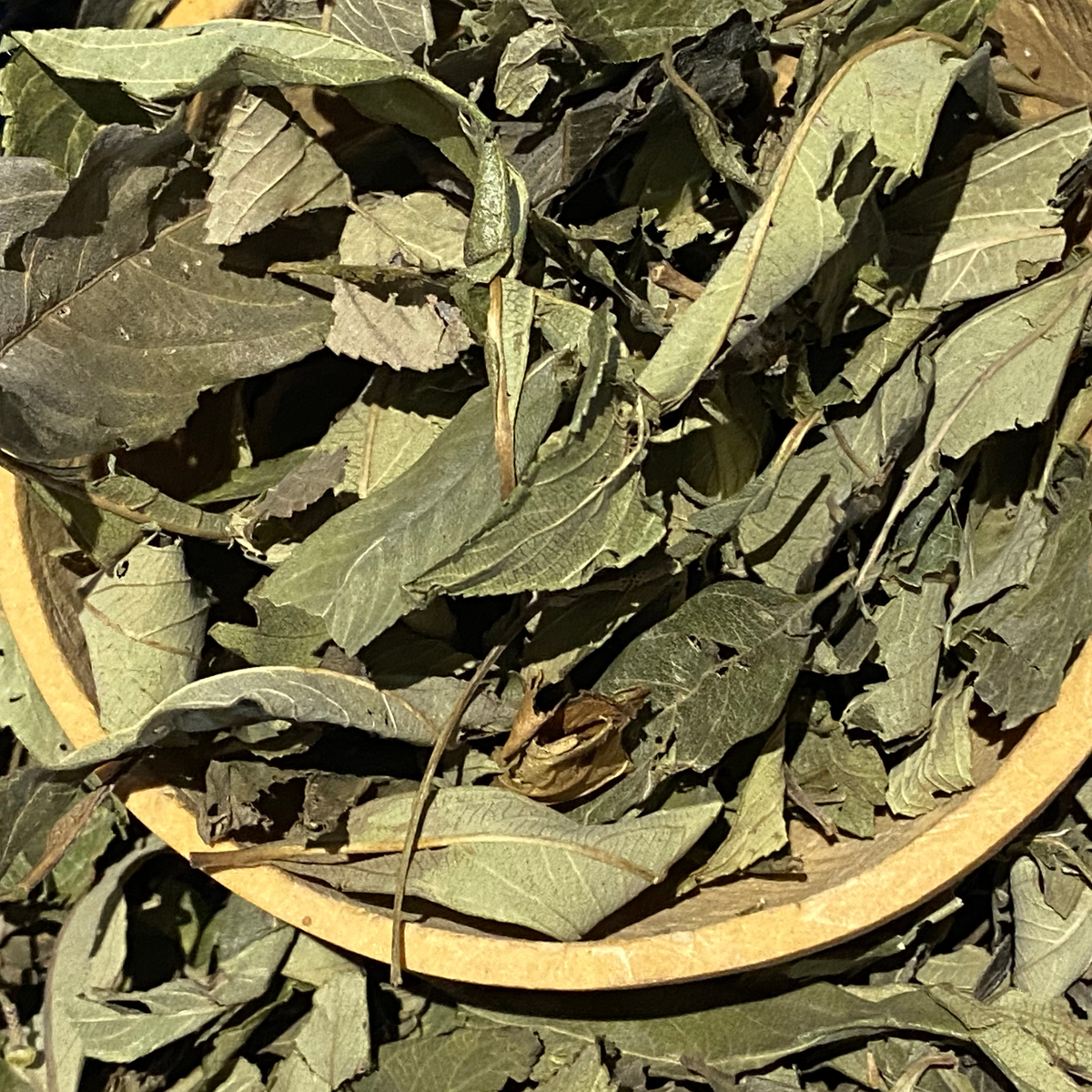 Feuille de kinkenliba