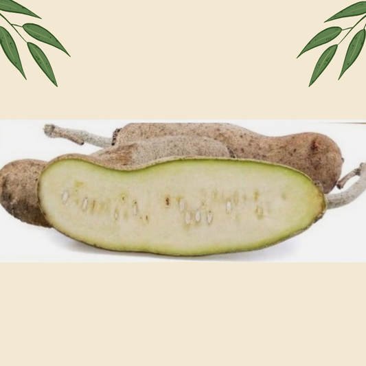 poudre de kigelia africana